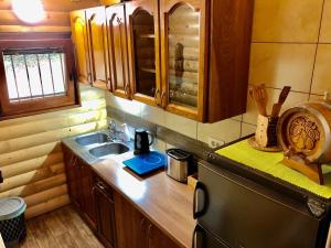 弗爾沙茨的住宿－Brvnara Vršac，一间带水槽和冰箱的小厨房