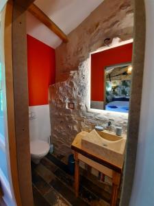 a bathroom with a sink and a toilet and a mirror at La Bergerie à Menée in Châtillon-en-Diois