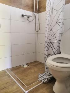 een badkamer met een toilet en een douchegordijn bij Apartmán Rózsika in Veľký Meder
