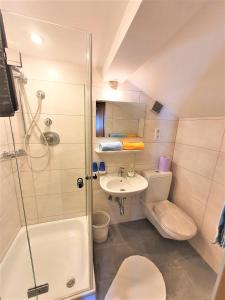 a bathroom with a shower and a toilet and a sink at Ferienhaus Stubai in Neustift im Stubaital