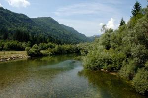 Příroda nedaleko apartmánu