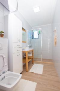 a bathroom with a toilet and a sink and a shower at Apartmani Port in Bar
