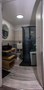ein Bad mit einer Dusche, einem WC und einem Waschbecken in der Unterkunft Apartman Noel Peroj centar in Peroj