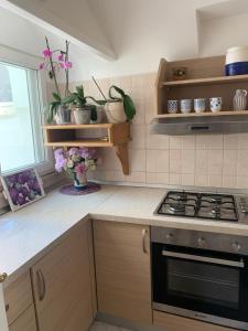una cucina con piano cottura e alcune piante in vaso di Casa Ilaria - Appartamento in Piazzetta a Capri
