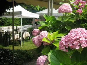 un cespuglio di fiori rosa con tavoli e sedie di Hotel La Bussola a Cittiglio