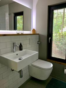 a bathroom with a white sink and a toilet at Bungalow im Wald in Borkwalde +14 photos