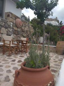 Zahrada ubytování TRADITIONAL STUDIO Chora Patmos