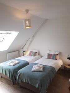 - 2 lits jumeaux dans une chambre avec fenêtre dans l'établissement Le Feneau Maison d'hôtes avec jacuzzi, à Creuzier-le-Neuf
