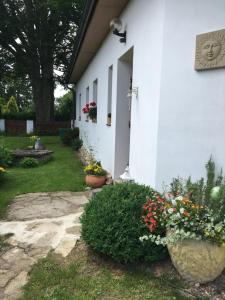 Fotografie z fotogalerie ubytování apartmán U památného stromu v destinaci Česká Lípa + 30 fotografií