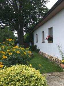 Fotografie z fotogalerie ubytování apartmán U památného stromu v destinaci Česká Lípa