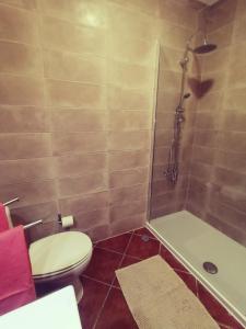 y baño con aseo y ducha. en Apartamento S. Luis, en Faro