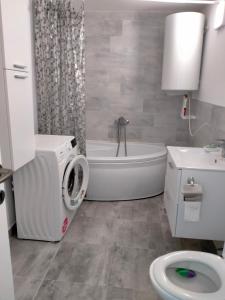 Koupelna v ubytování Casa Luminița