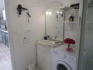 a bathroom with a washing machine and a sink at La Belle symphonie in Vieil-Moutier