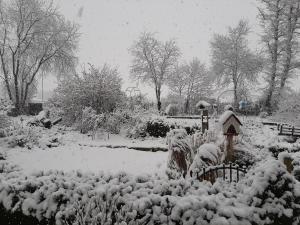 ogród pokryty śniegiem z ptasim domkiem w obiekcie Kehrmühle w mieście Ober Kostenz