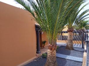 Fotografie z fotogalerie ubytování Villa Oasis II v destinaci Corralejo