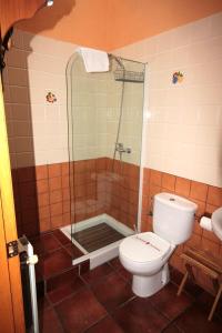 a bathroom with a toilet and a shower with a glass door at Casa Rural El Meson in Briones