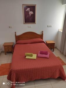 - une chambre avec un lit et 2 oreillers dans l'établissement Fuerteventura Puerto del Rosario Cataluña, à Puerto del Rosario