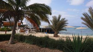a beach with two palm trees and the ocean at Porto Antigo 2 in Santa Maria