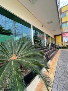 un palmier devant un bâtiment dans l'établissement Hotel Guapindaia Praça, à Rio Branco