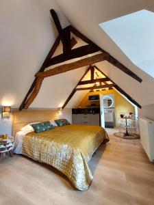 a bedroom with a large bed in a attic at Studio Exupere in Bayeux