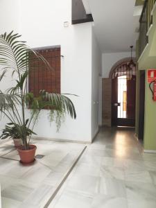Kép Apartamento Sevilla Alhondiga szállásáról Sevillában a galériában