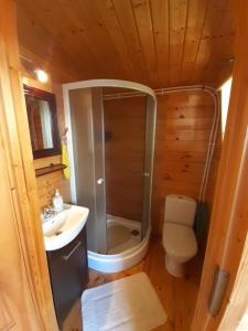 a bathroom with a shower and a toilet and a sink at Domki letniskowe u Janka in Ustronie Morskie