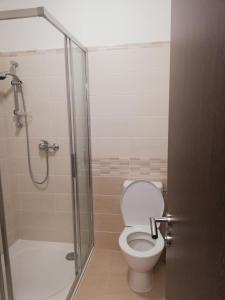 W łazience znajduje się toaleta i przeszklony prysznic. w obiekcie Penzion - JILAN, Náves Svobody 39, Olomouc w Ołomuńcu
