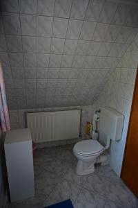 a bathroom with a white toilet in a room at Haus Lisa Burg Dithmarschen am Nord Ostsee Kanal Nordsee in Burgerfeld
