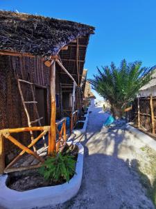 een huis aan het strand met een palmboom bij Fisherman Lodge in Paje