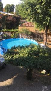 ein blauer Pool in einem Garten mit einem Baum in der Unterkunft APPARTAMENTI DEI MILLE in Novi Ligure