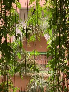 The Bohemian Jungle室外花園