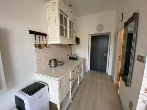 Cucina o angolo cottura di Apartmán Slapy-Ždáň
