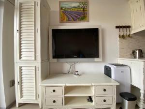TV o dispositivi per l'intrattenimento presso Apartmán Slapy-Ždáň