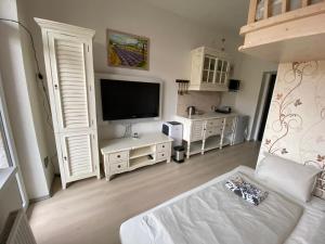 Apartmán Slapy-Ždáň في سلابي: غرفة معيشة مع تلفزيون وأريكة بيضاء