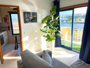 a living room with a couch and a plant at Miguel Torga River in Coimbra