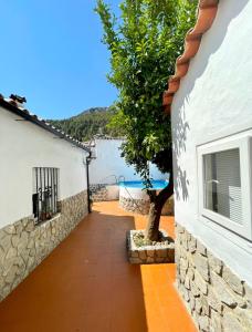 a walkway between two buildings with a tree on the side at La Casa 5 in Grazalema