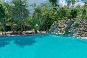莫雷洛斯港Jolie Jungle Eco Hotel的岩石墙前的游泳池