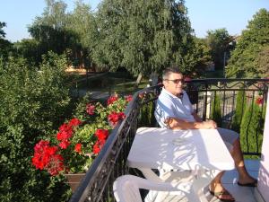 Majutusasutuse Vila Madams - Palić-Serbia külastajad