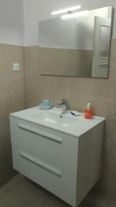 a bathroom with a white sink and a mirror at La casa du musée in Mulhouse