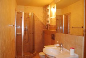 a bathroom with a shower and a sink and a toilet at Willa Milano in Mielno +47 photos