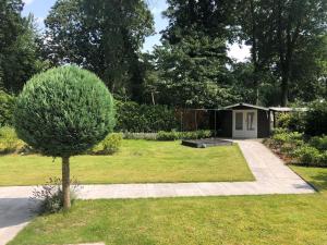 een boom in een tuin met een kleine schuur bij Unique chalet in Harderwijk with large garden in Harderwijk