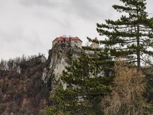 Příroda nedaleko apartmánu