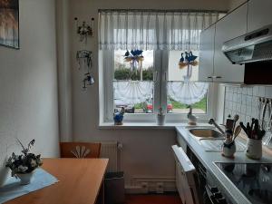 kuchnia ze zlewem oraz 2 okna z zasłonami w obiekcie Ferienwohnung Waldblick Oberhof w mieście Oberhof