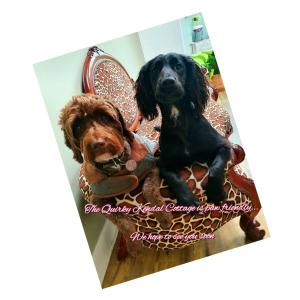 two dogs sitting on a chair in a picture at Quirky Kendal Cottage in Kendal