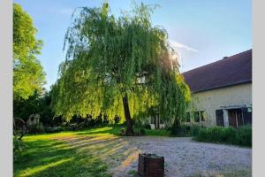 Zahrada ubytování obouduchemin + 5 fotografií