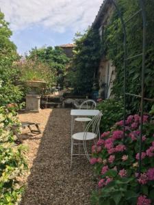 a white chair sitting in a garden with flowers at Chez Brown in Saint-Thomas-de-Cônac