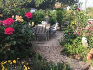 a garden filled with lots of flowers and plants at Chez Brown in Saint-Thomas-de-Cônac