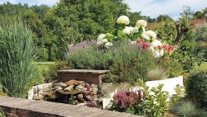 a garden with many different types of plants at Le Moulin de la Planquette in Cavron-Saint-Martin