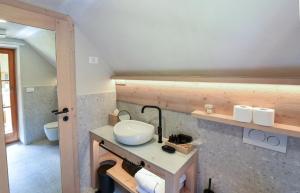 a bathroom with a sink and a toilet at JULIAN VILLAGE LEPENA in Soča +38 photos