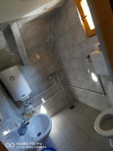 uma casa de banho com um chuveiro, um lavatório e um WC. em Grandfather's place Budevice em Plav
